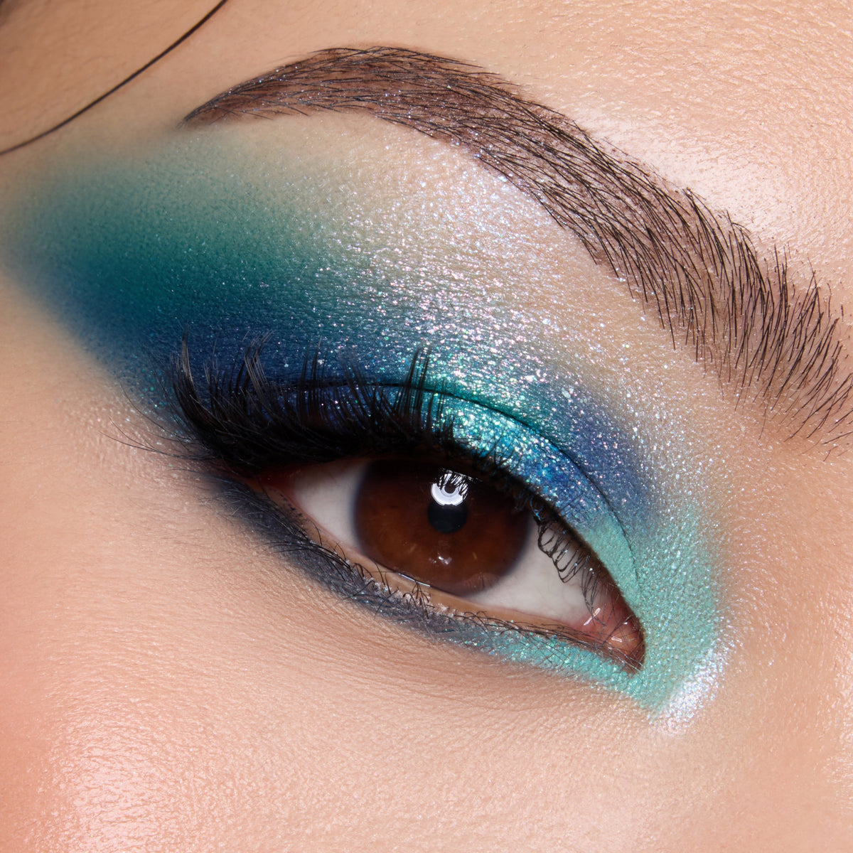 Under the Sea